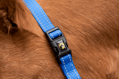 Excellent Essential Halter Blue XS