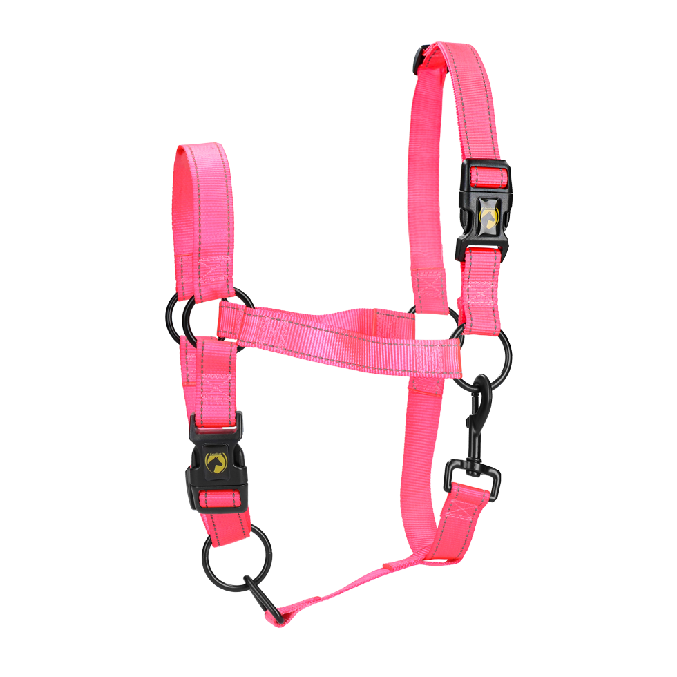 Excellent Premium Halter Pink XL