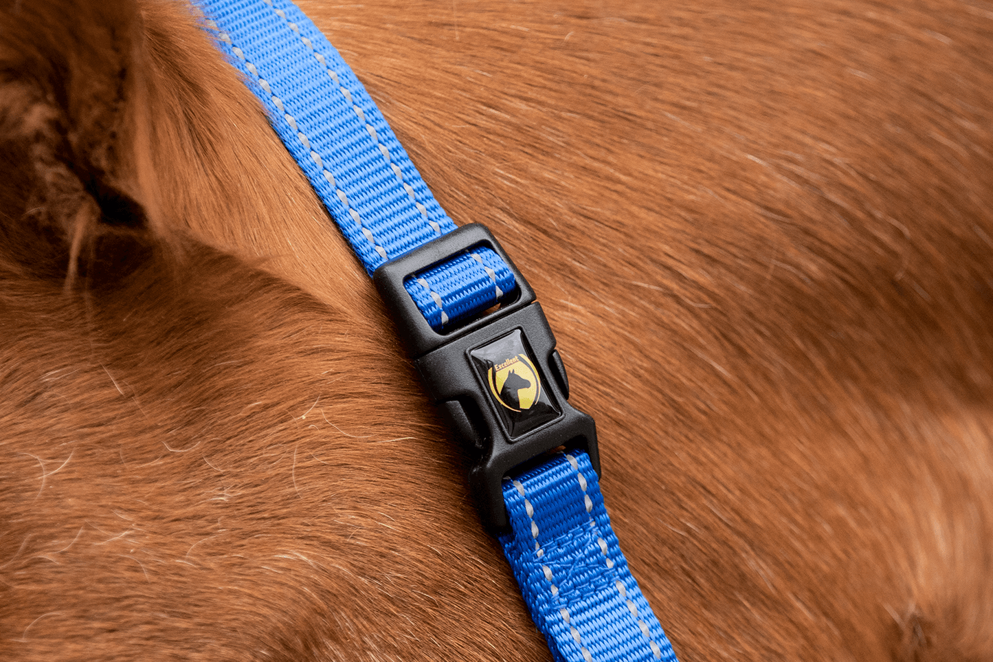 Excellent Superior Halter Blue XS