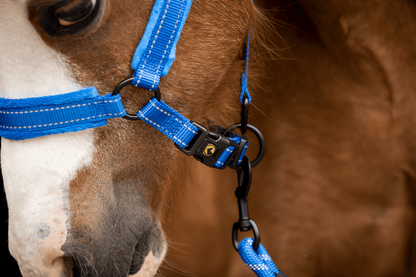 Excellent Superior Halter Blue XS