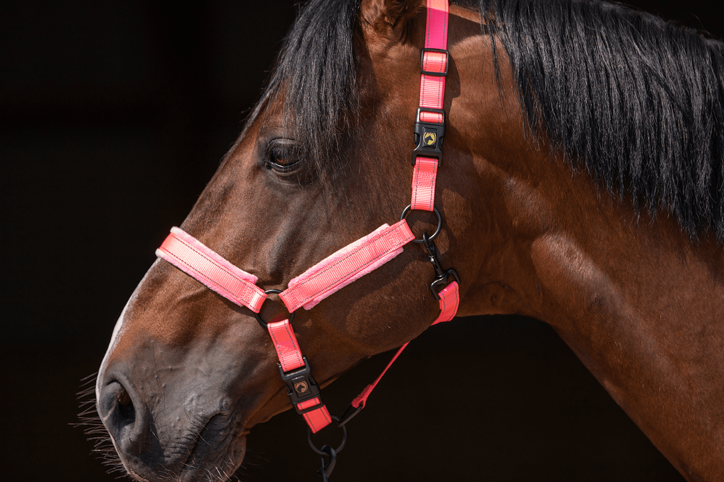 Excellent Superior Halter Pink XS