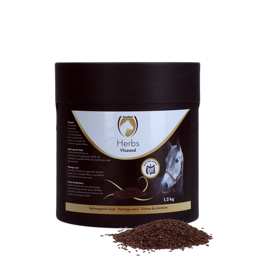 Kiváló Lógyógynövények Útifűmag 1,2 kg
