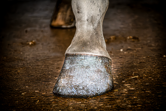 Excellent Horse Hi Gloss Csillogó Körömfényező Ezüst 150 ml