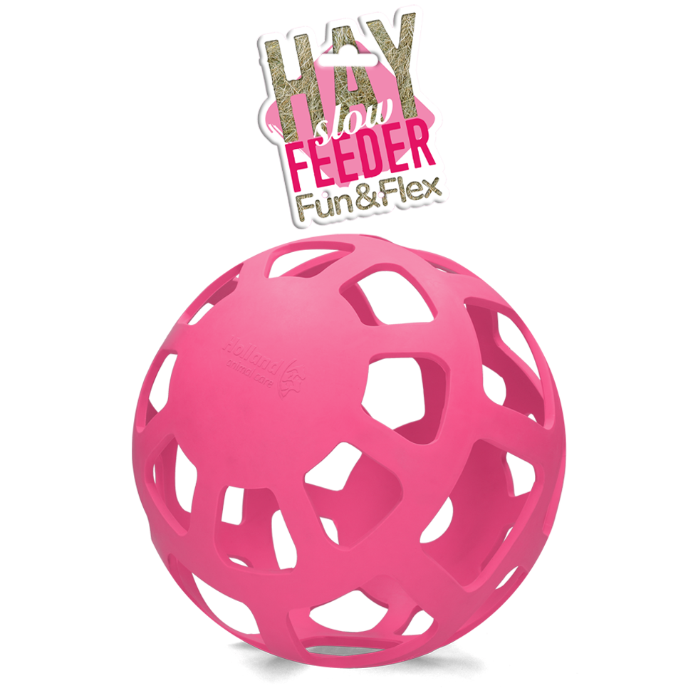 Hay Slow Feeder Fun & Flex Pink