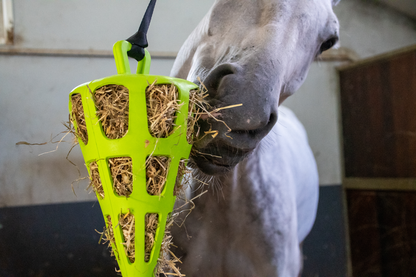 Hay Slow Feeder Fun & Flex Carrot Green
