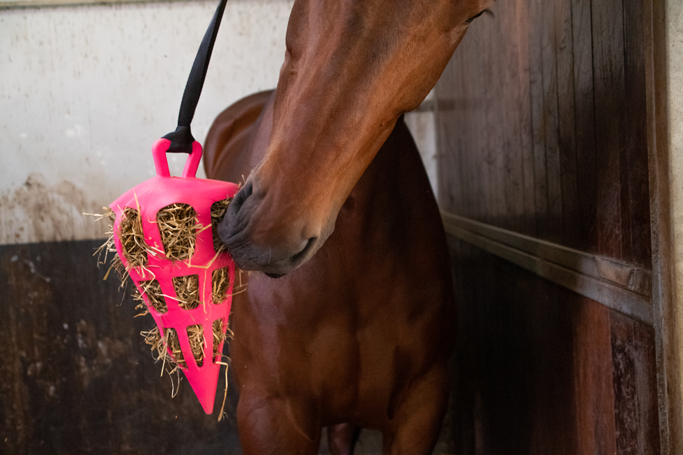 Hay Slow Feeder Fun & Flex Carrot Pink