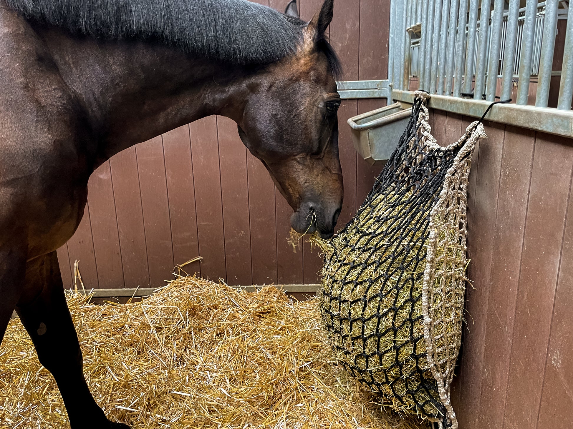 Hay Slow Feeder Net 10 kg (60/45 mm)