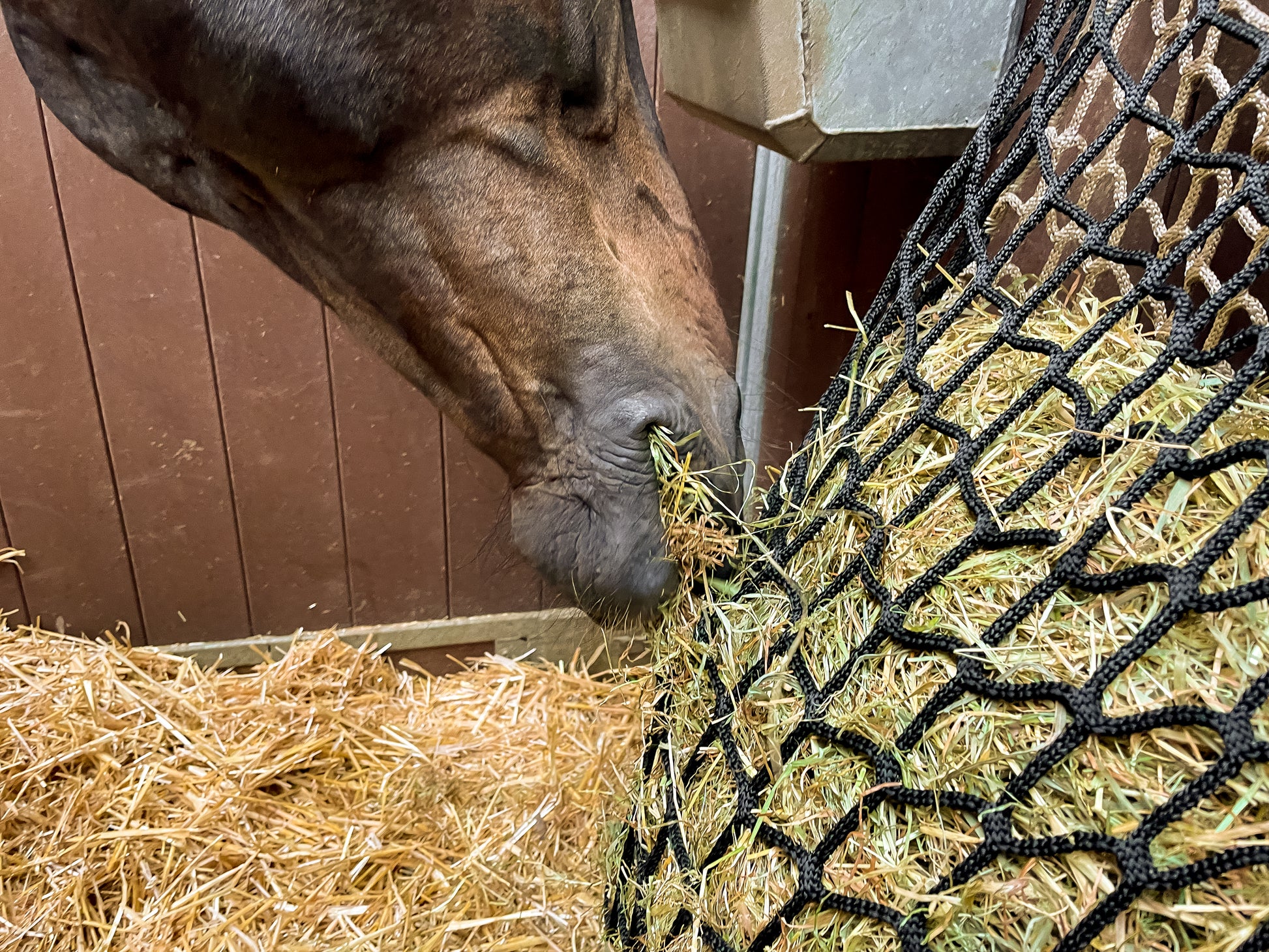 Hay Slow Feeder Net 10 kg (60/45 mm)