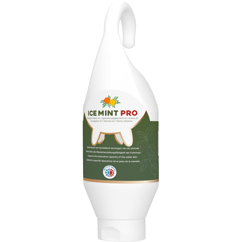 Ice Mint Pro Gel Standing / Hanging tube 500 ml