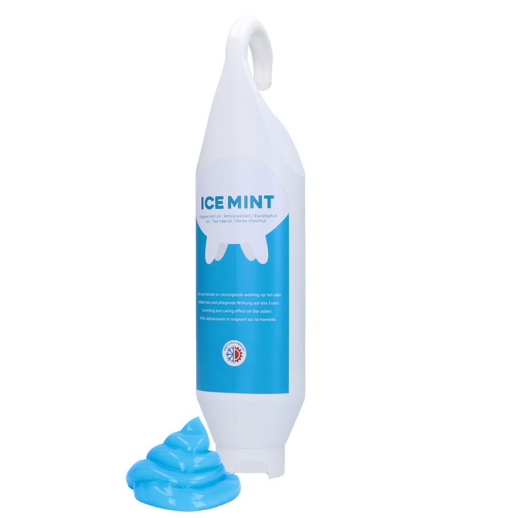 Ice Mint Gel Standing and hanging bottle 1 l