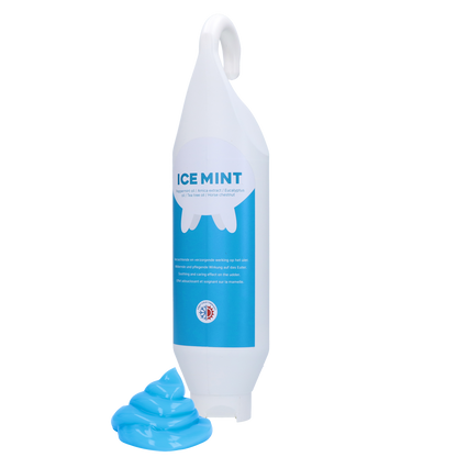 Ice Mint Gel Standing and hanging bottle 1 l