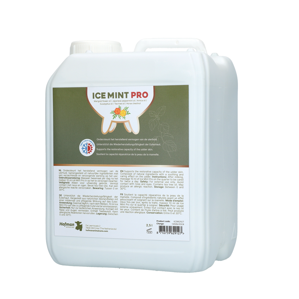 Ice Mint Pro Gel 2.5 l with dosing pump