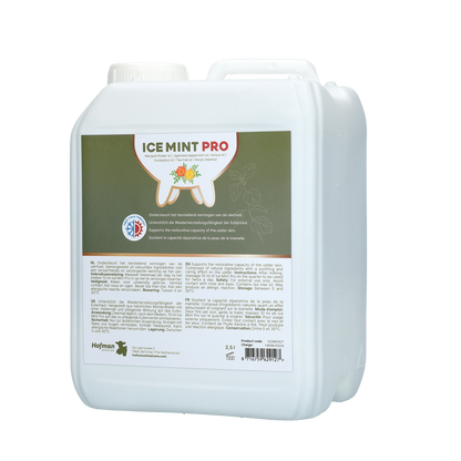 Ice Mint Pro Gel 2.5 l with dosing pump