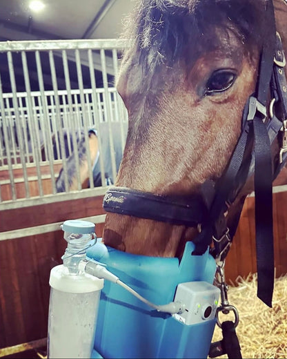 Flexineb lóinhalátor BÉRLÉS