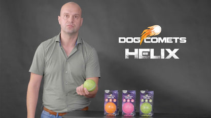Dog Comets Helix Green