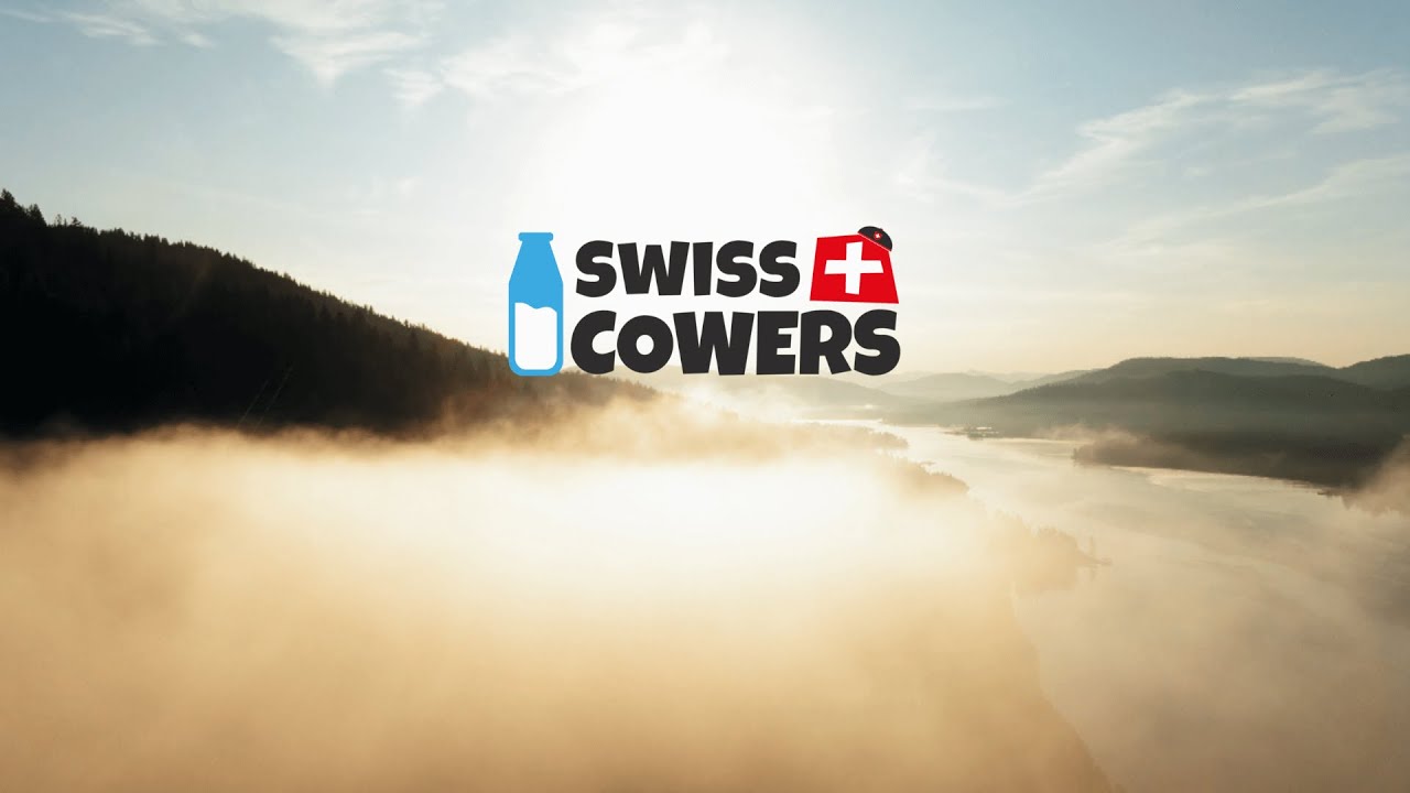 SwissCowers Cheese Bars Original S