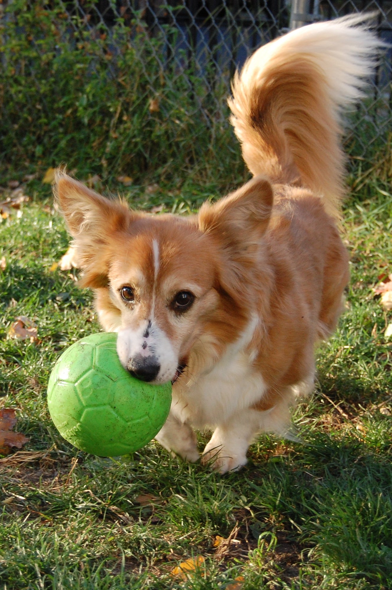 Jolly Soccer Ball Green S (15 cm)