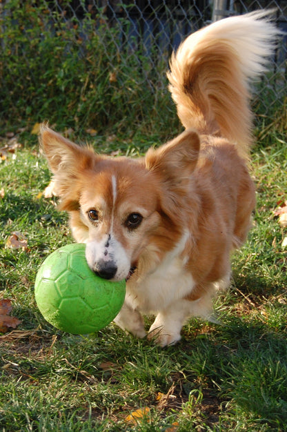 Jolly Soccer Ball Green S (15 cm)