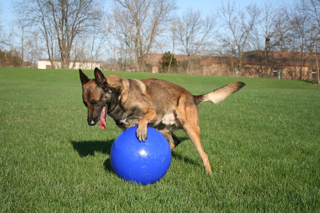 Jolly Push-n-Play Red L (25 cm)