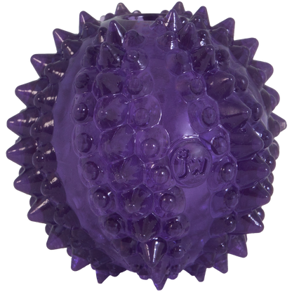 JW Puppy - Bristl-ee Cactus Ball