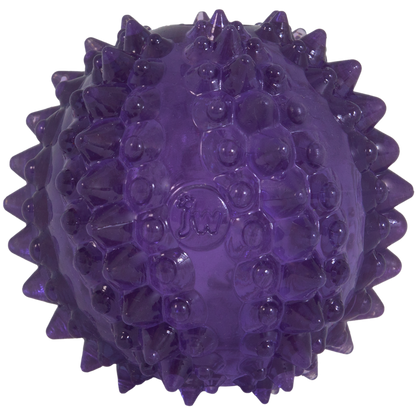 JW Puppy - Bristl-ee Cactus Ball
