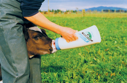 Calf Feeder Speedy Feeder 2.5 l