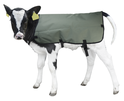 Calf Coat 70 cm