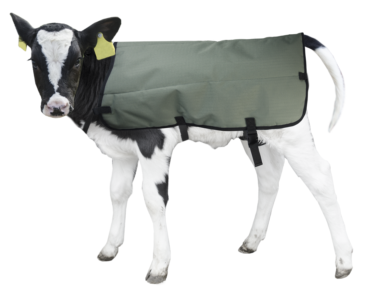 Calf Coat 80 cm