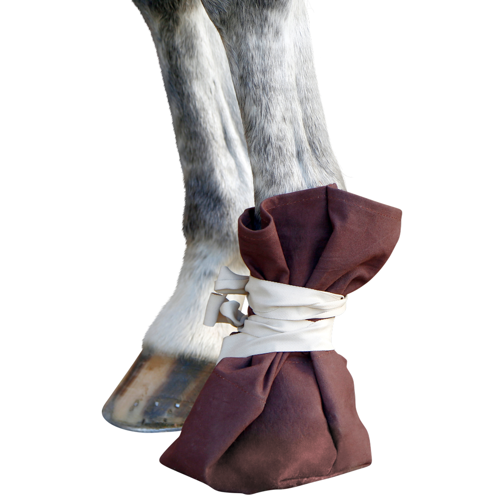 Claw/Hoof Treatment Shoe for cattle and horse