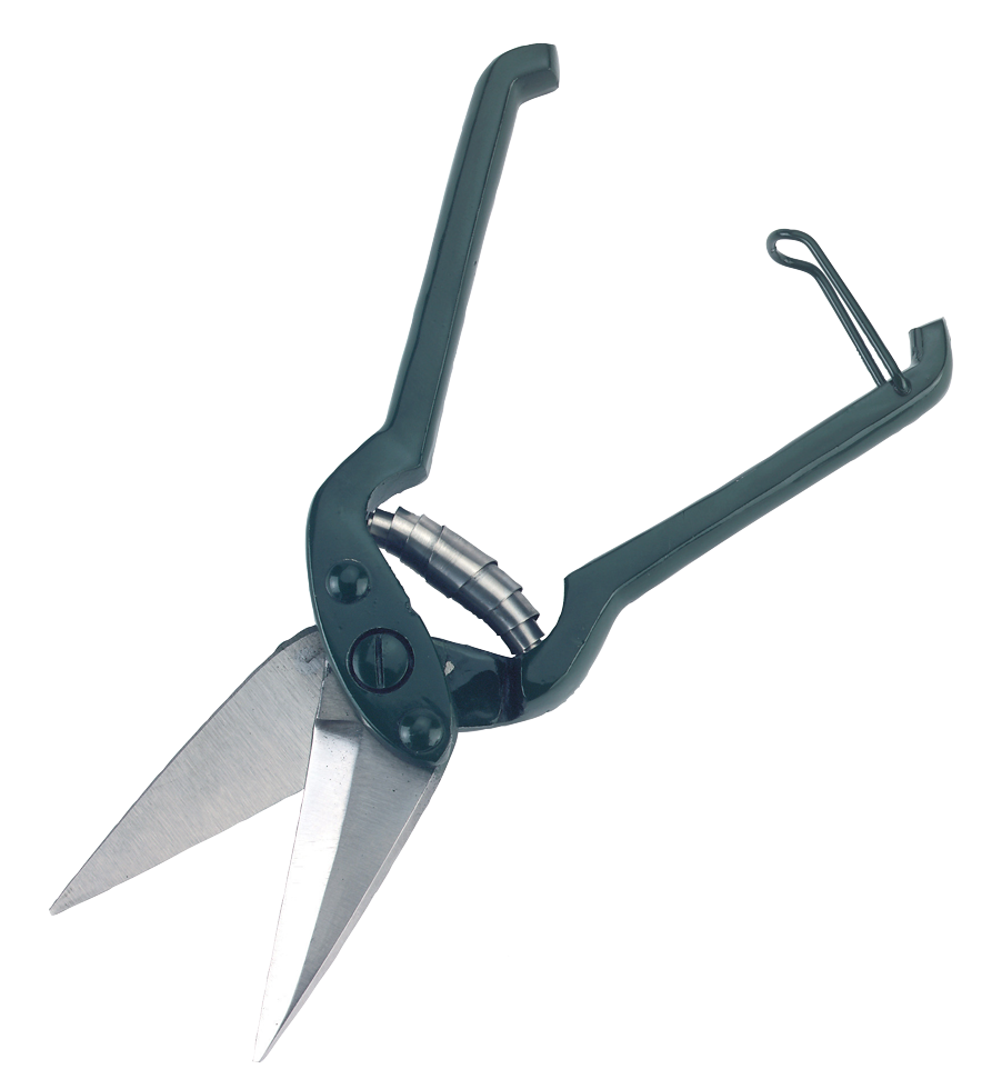 Claw scissors sheep