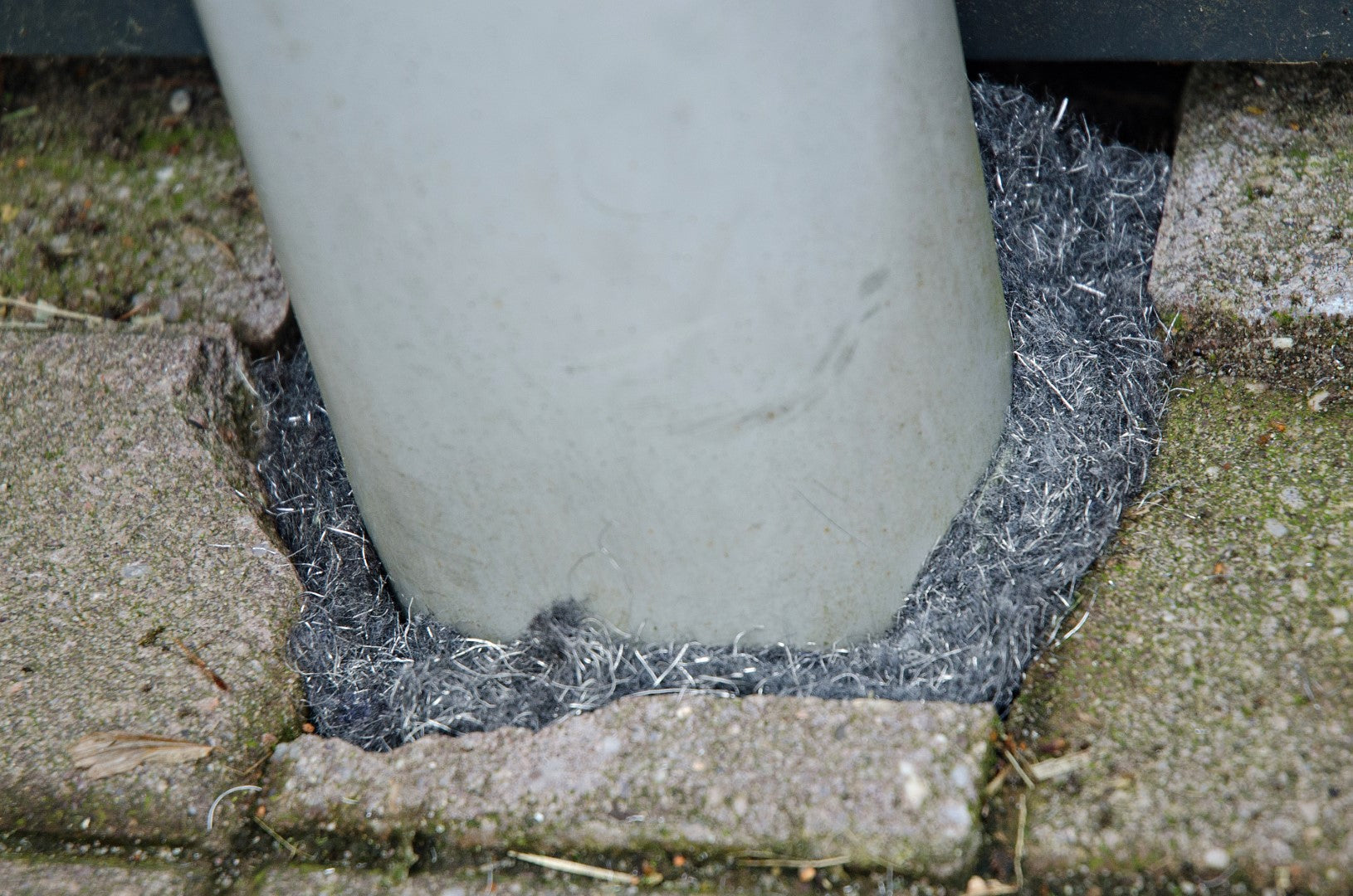 Knock Pest Rodent Defense 5 m