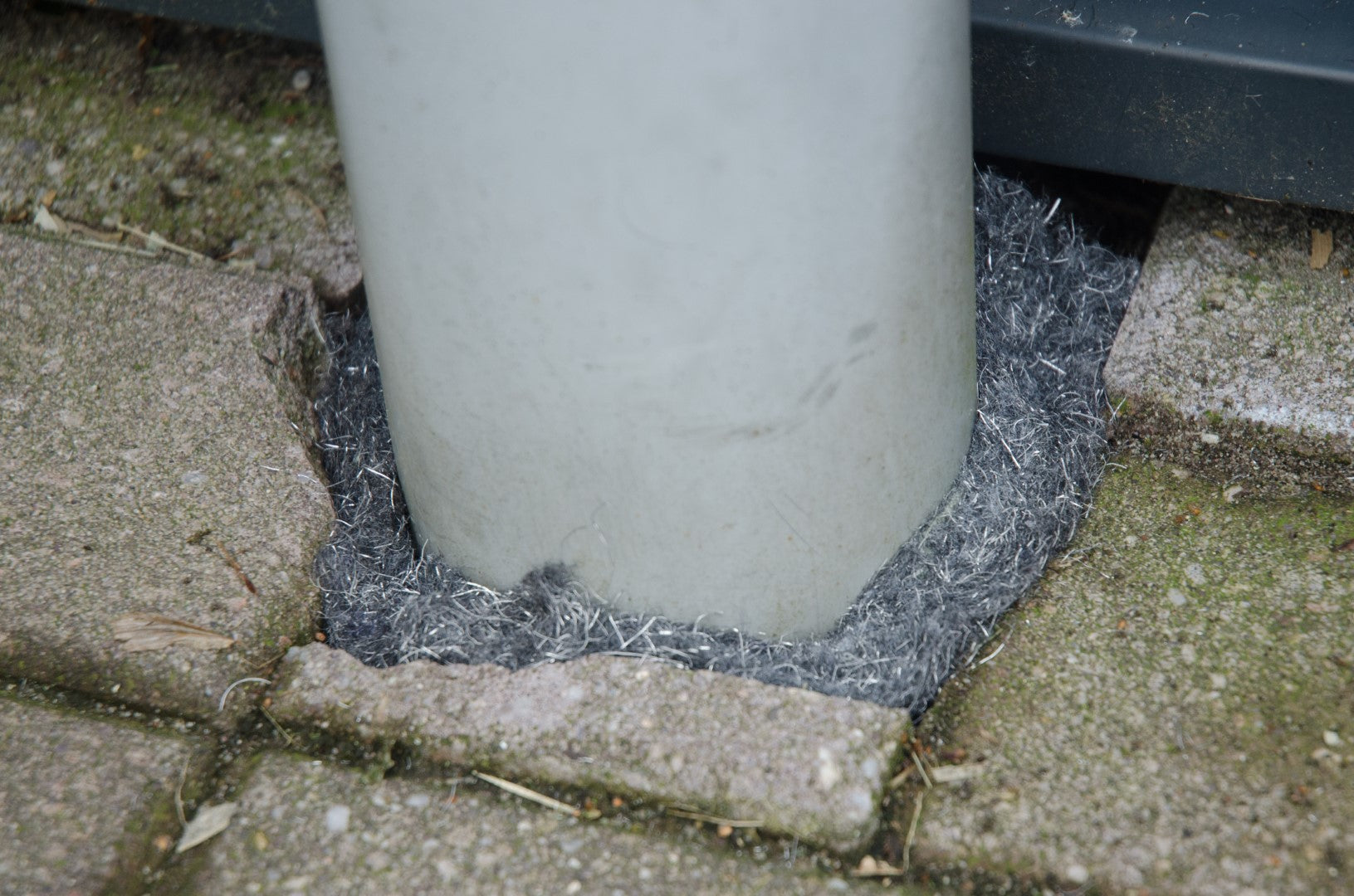 Knock Pest Rodent Defense 5 m