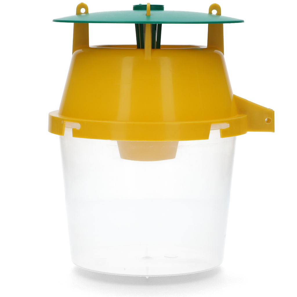 Knock Pest Moth trap