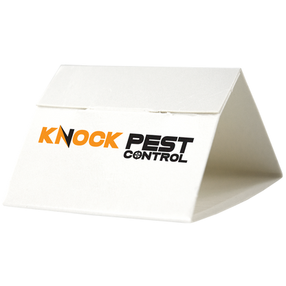 Knock Pest Silverfish Trap Delta