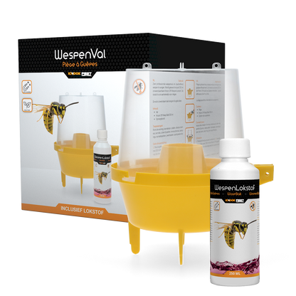 Knock Pest Wasp Trap