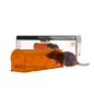 Knock Pest Rat trap Alive