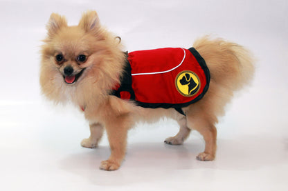 Dog Armor Knockdown Coat (Insect Shield) S (40cm backlength)