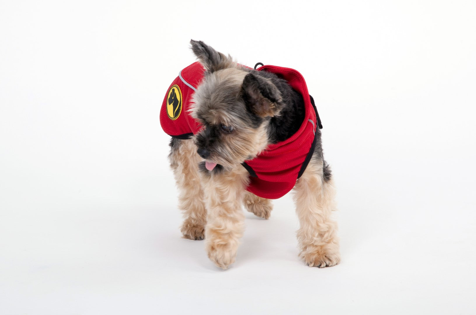 Dog Armor Knockdown Coat (Insect Shield) XXXXS (20cm backlength)