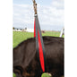Cow Lifter Belly Strap Front Lift 2,4 meter