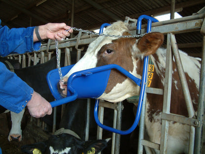 Vink Head Support
