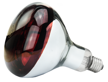 Hard Glass Lamp 150 W - Red