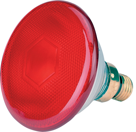 Energiatakarékos lámpa 175 W - Piros