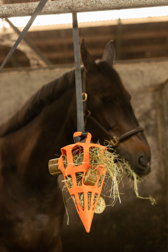 Lax Meadow Nibble Block Hay