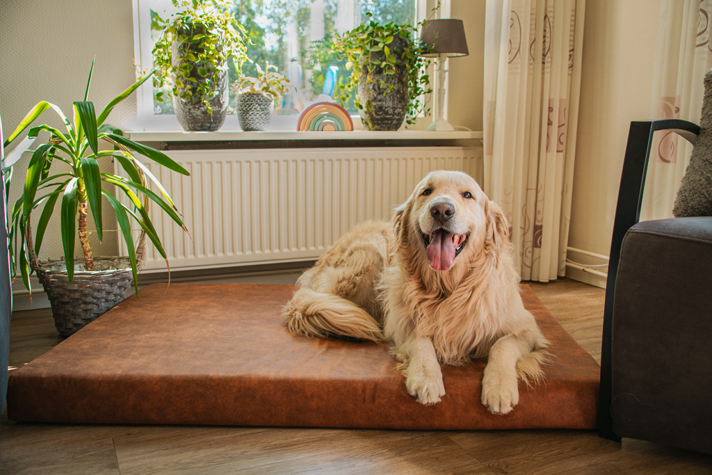 Let's Sleep Mellow Mattress Orthopaedic Bed L Anthracite