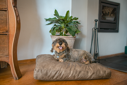 Let's Sleep Plush Pillow Dog Bed L Cognac