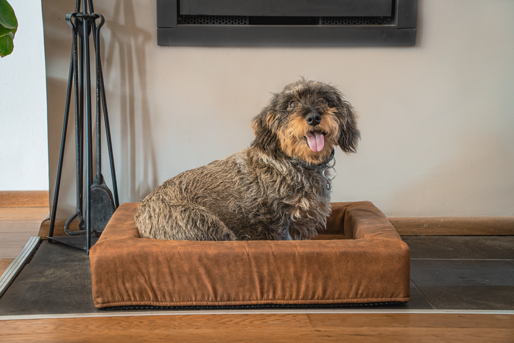 Let's Sleep Comfy Cushion Dog Basket M Taupe