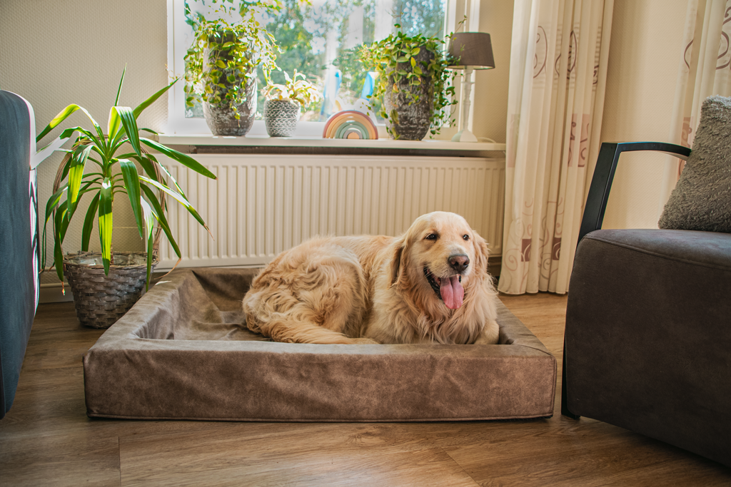 Let's Sleep Comfy Cushion Dog Basket L Cognac