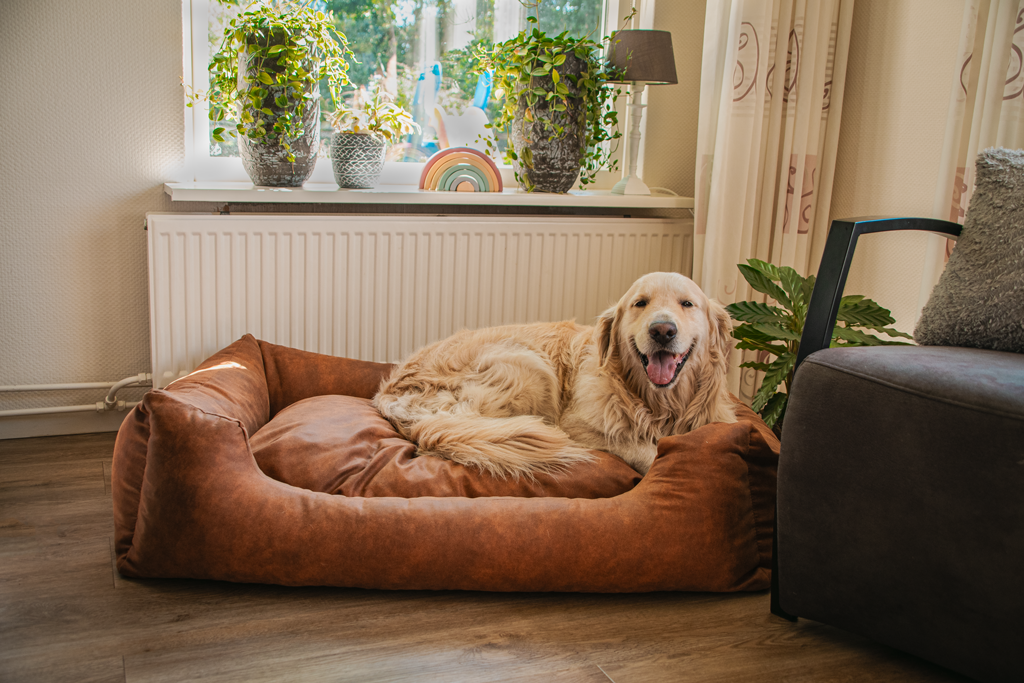 Let's Sleep Sweet Dreams Dog Basket w/ Cushion L Taupe