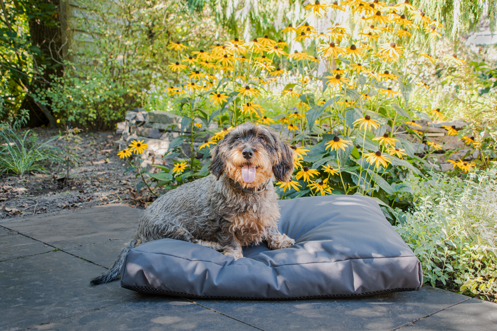 Let's Sleep Cushy Cloud Outdoor Dog Bed M Anthracite