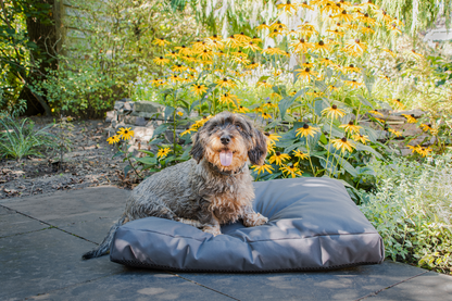 Let's Sleep Cushy Cloud Outdoor Dog Bed M Anthracite